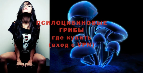 шишки Вязники