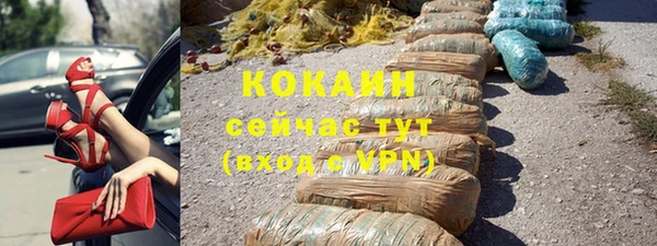 шишки Вязники
