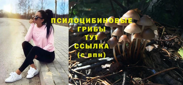 шишки Вязники