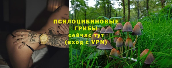 MESCALINE Вяземский