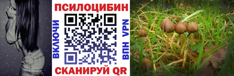 купить наркотик  Дедовск  Псилоцибиновые грибы ЛСД 